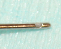 cannula1.jpg