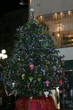 christmastree1.jpg