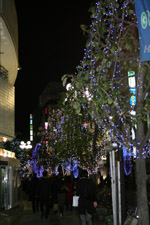 crhistmastree3.jpg