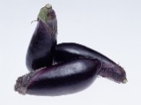 eggplant.jpg