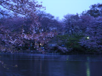 inokashirapark8.jpg