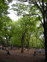 inokashirapark9.jpg