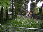 inokasirapark10.jpg