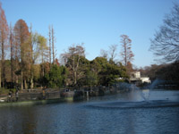 inokasirapark1224-3.jpg