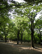 inokasirapark18.jpg