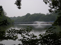 inokasirapark19.jpg