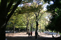 park2.jpg