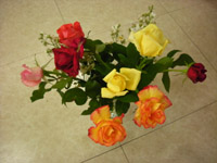roses1.jpg